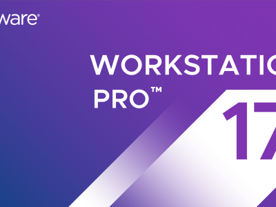 Windows 10 系统下 VMware Workstation Pro 虚拟机中 “网络电缆被拔出” 的问题