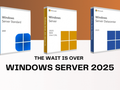 Windows Server 2025 在 128GB 内存中的性能优化